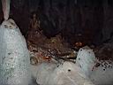 DSCF0172.JPG